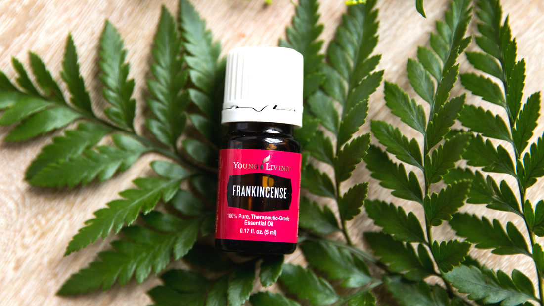 Frankincense Essential Oil 2