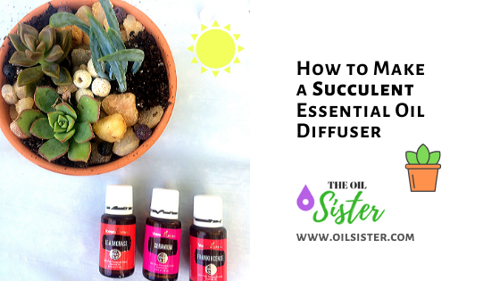 Succulent Essential Oil Diffuser